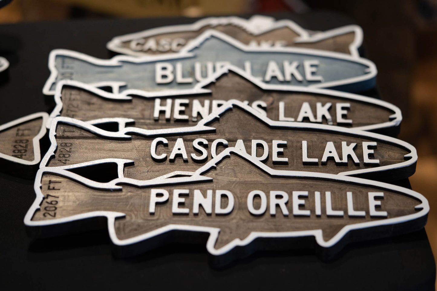 Lake Trout