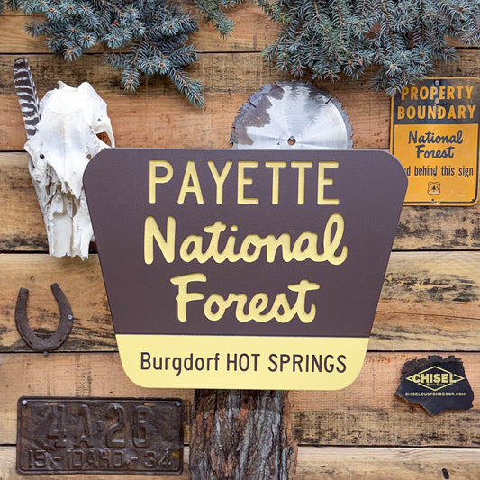Genuine Destination National Forest Sign