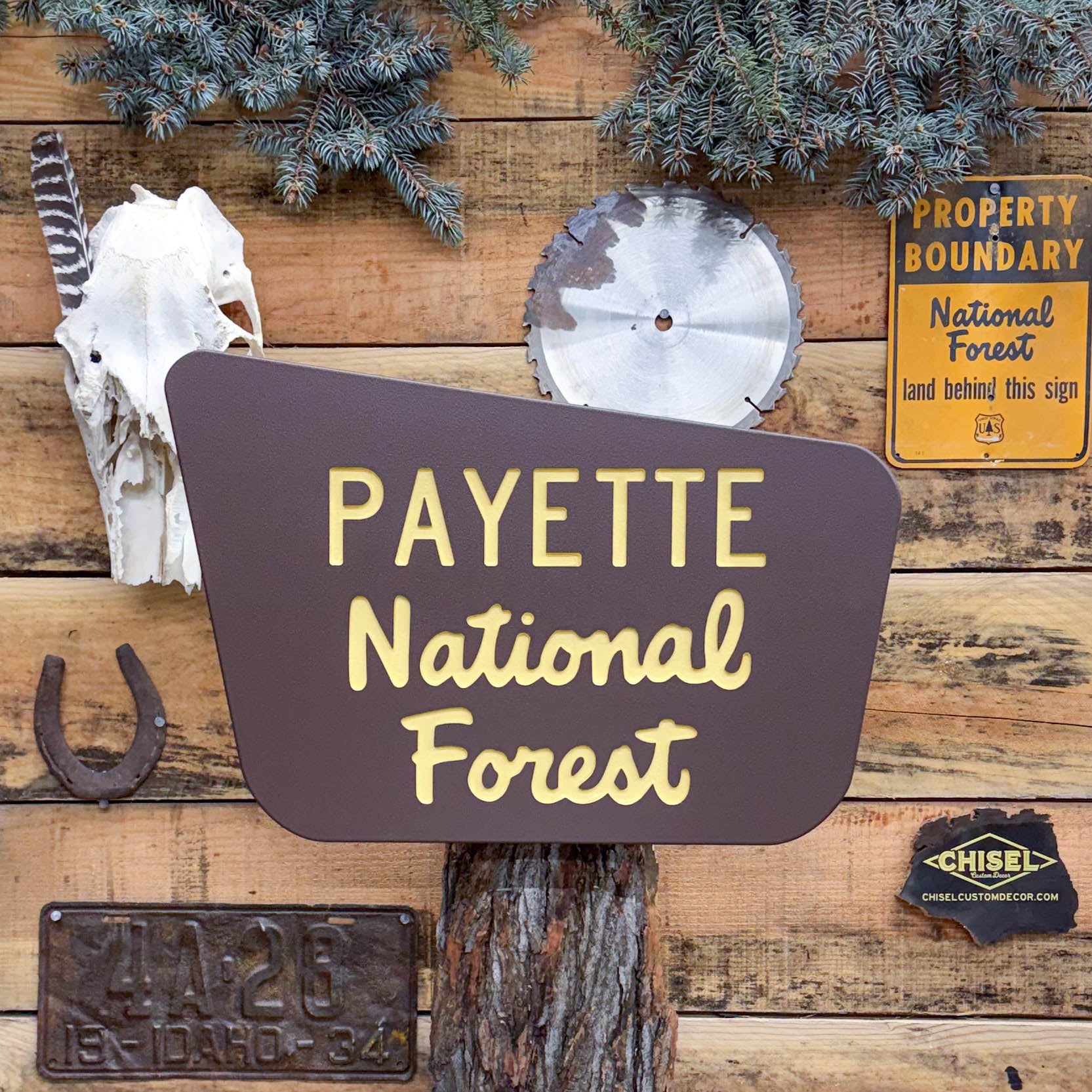 New Age - Brown National Forest Sign – chisel custom decor