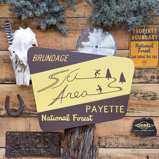 National Forest ski area