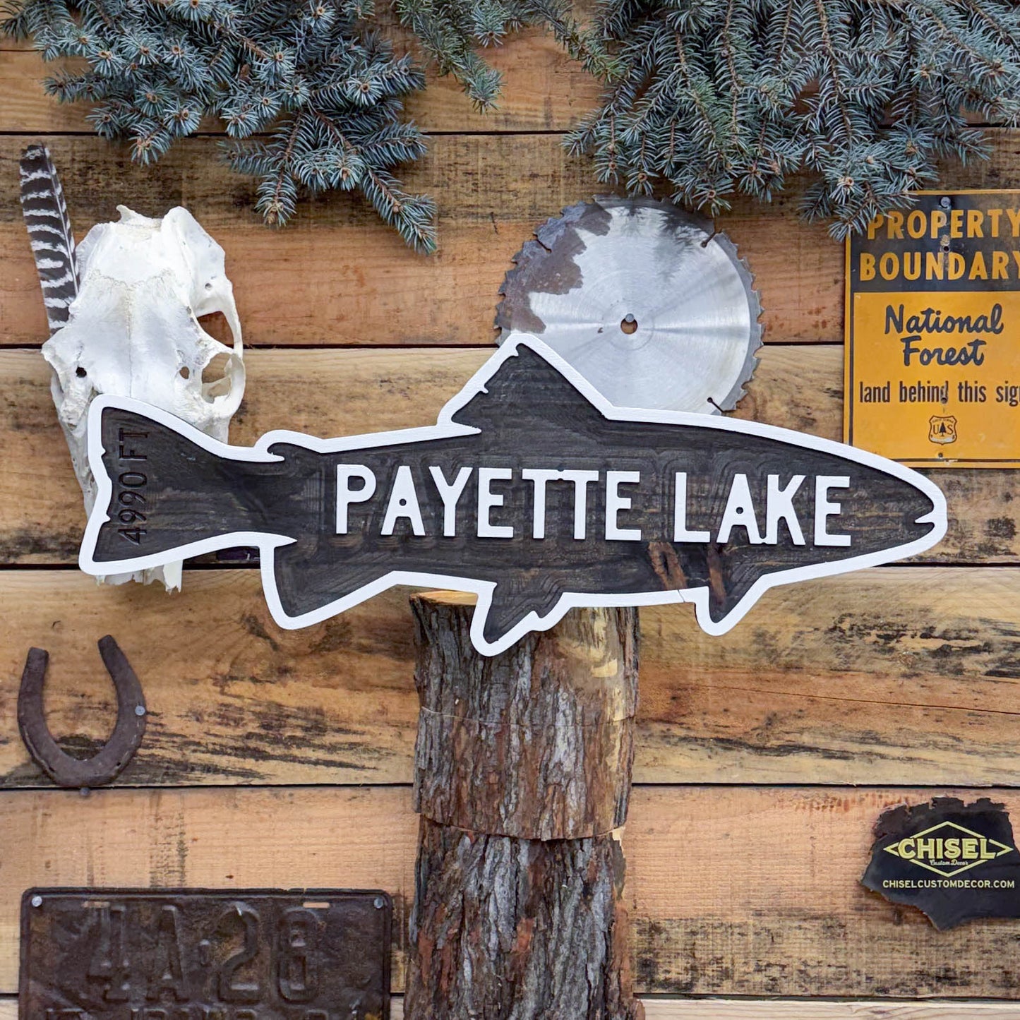 Lake Trout