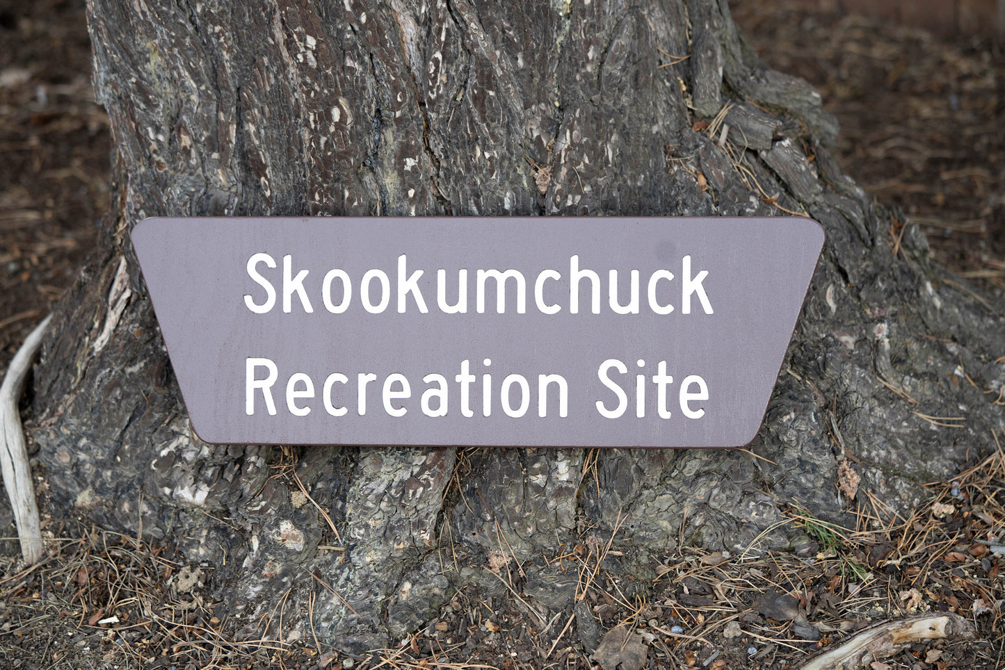Bureau Recreation Site Sign