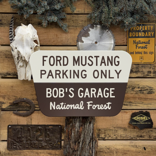 Standard - National Forest Destination Sign, White/Brown