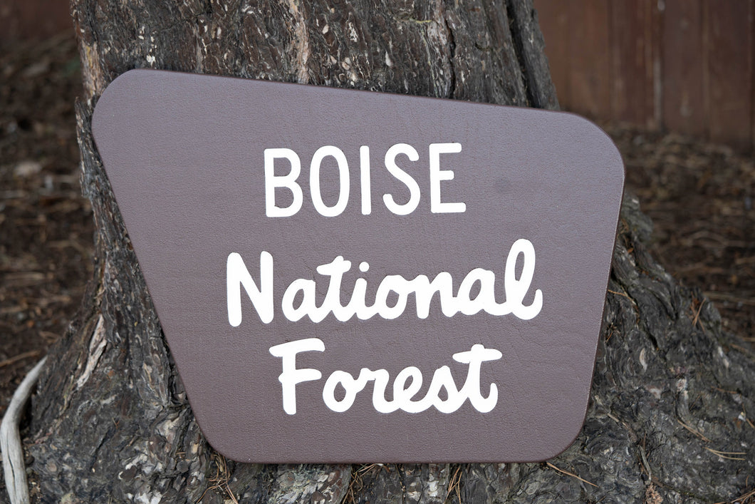 Custom National Forest Sign - Version 4