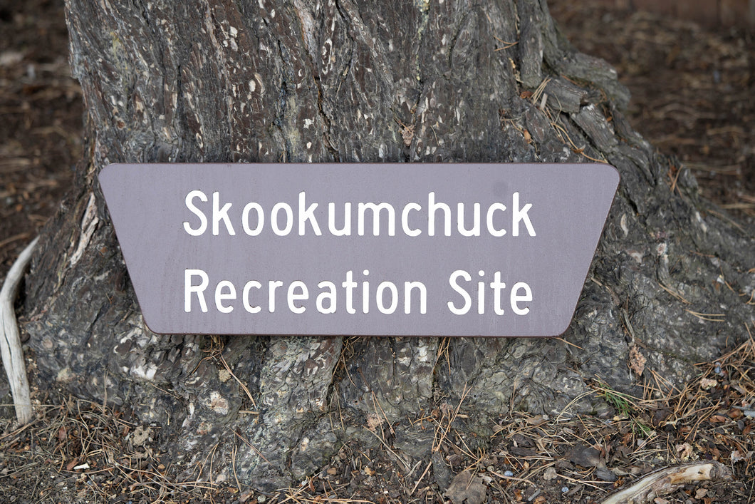 Custom Recreation Site Sign
