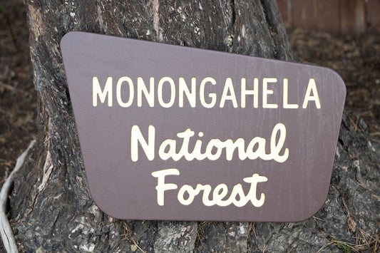 New Age - Brown National Forest Sign