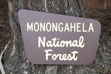 Load image into Gallery viewer, Custom National Forest Sign - Version 5
