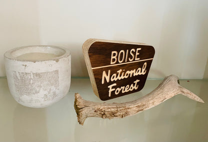 Mini National Forest Keepsake