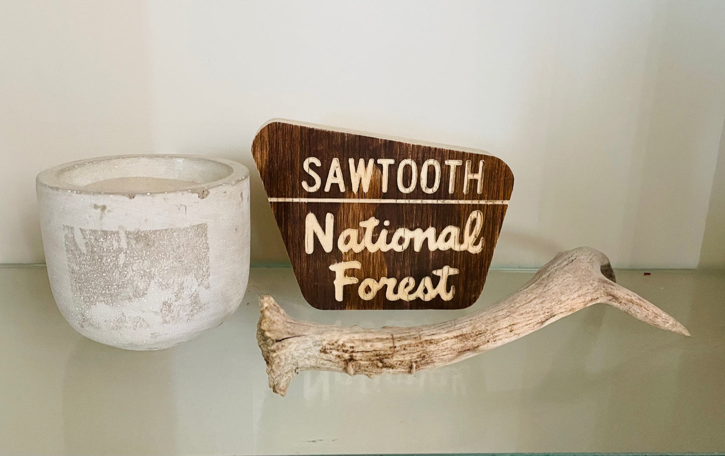 Mini National Forest Keepsake