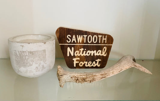 Mini National Forest Keepsake