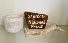 Load image into Gallery viewer, Mini National Forest Keepsake

