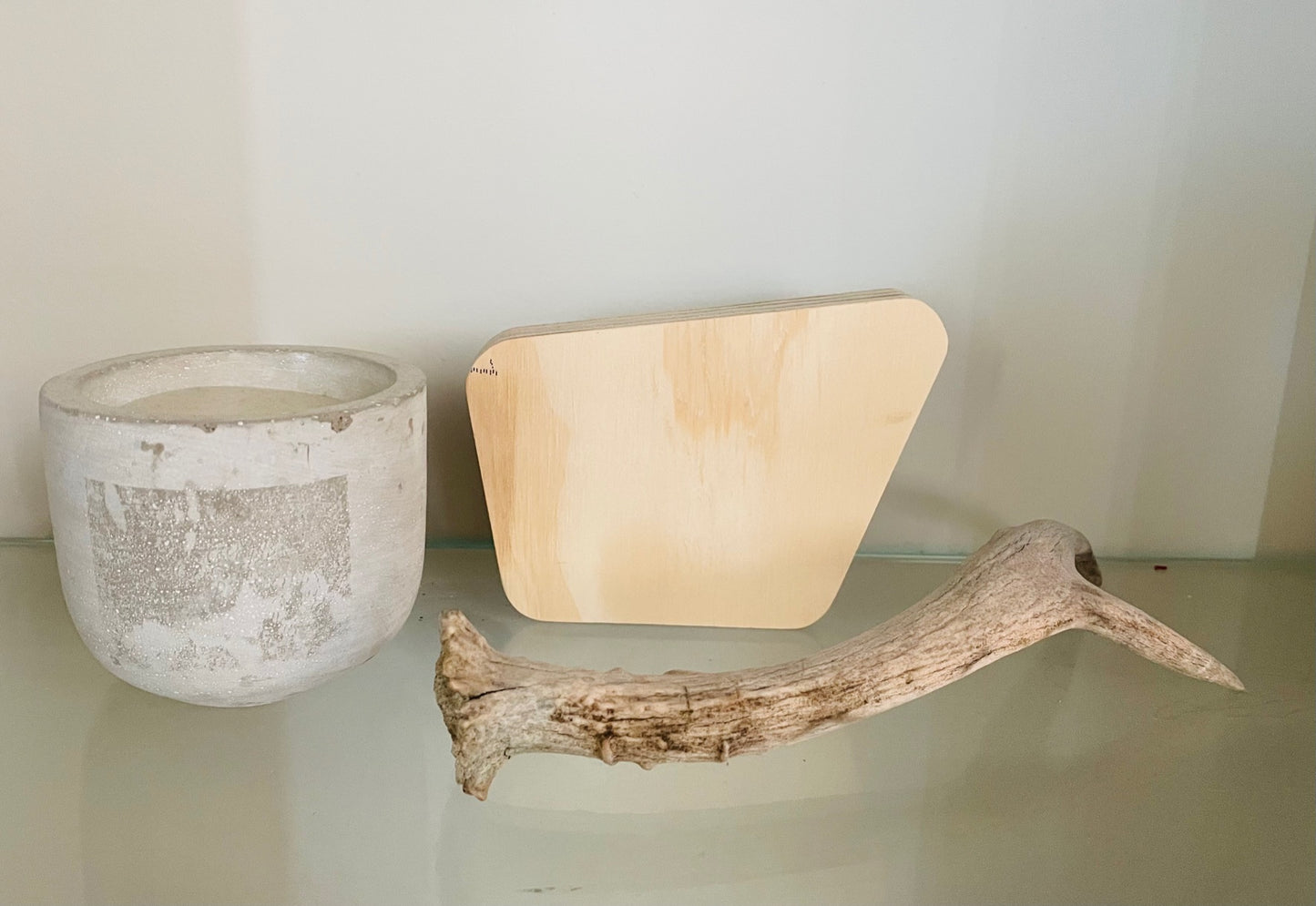 Mini National Forest Keepsake